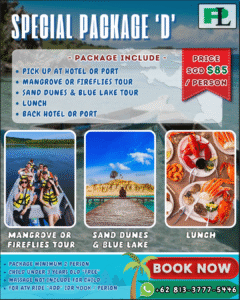 bintan island tour