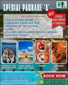 bintan island tour