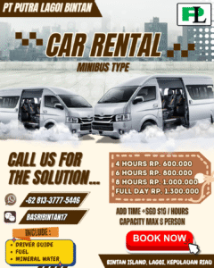 rent a car bintan island