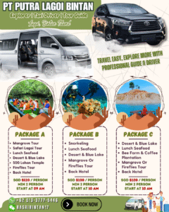 package tour bintan island lagoi