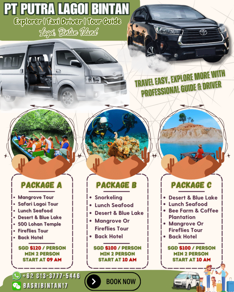 package tour bintan island lagoi