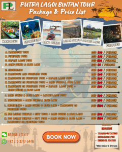 package tour bintan island lagoi