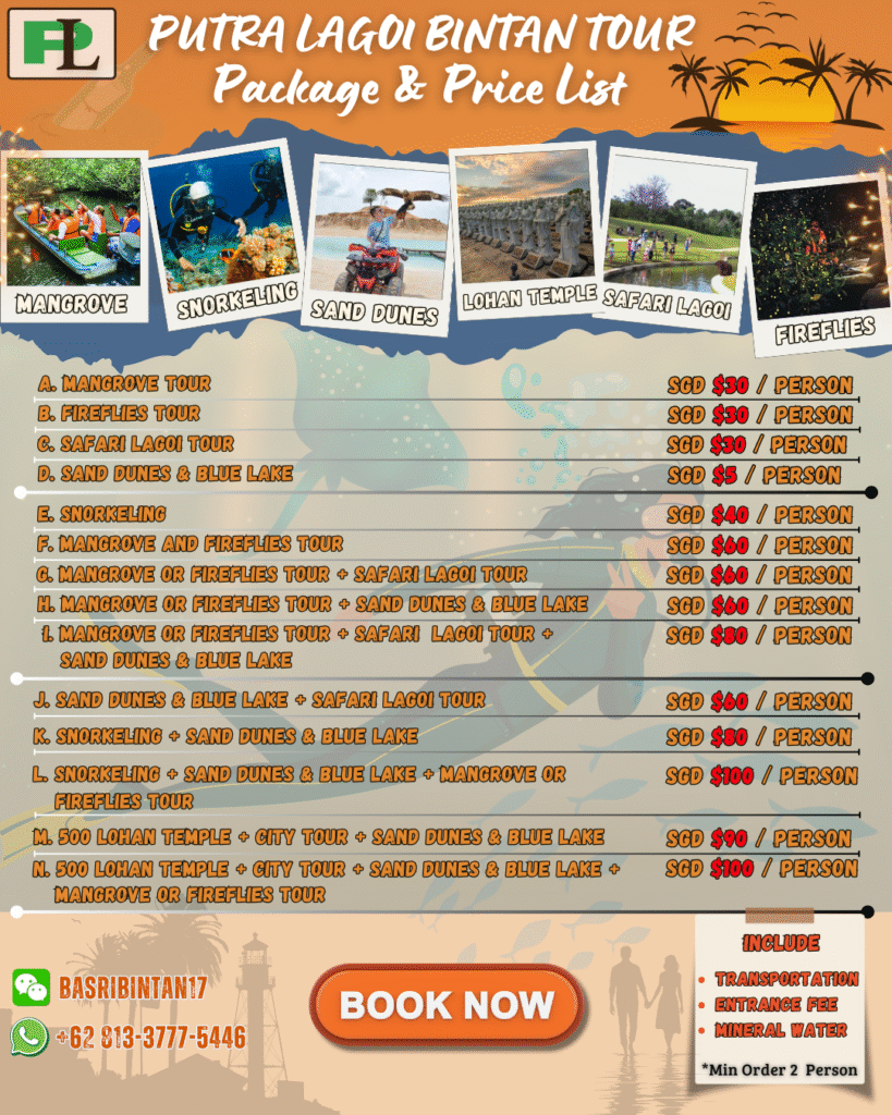 package tour bintan island lagoi