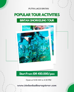 Bintan Snorkeling TOur