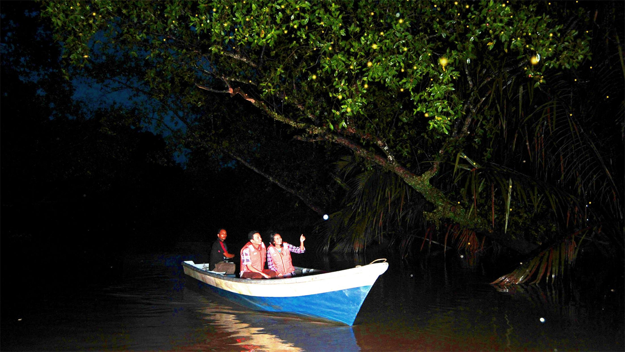 fireflies river tour bintan