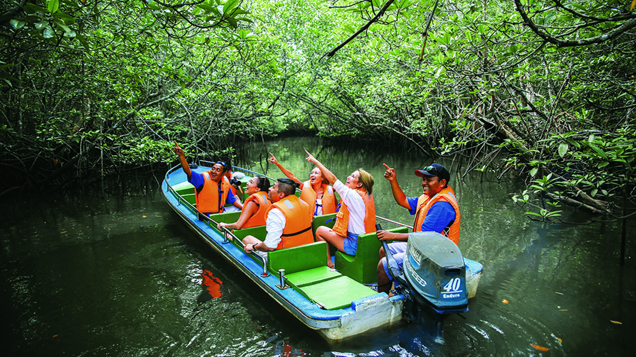 mangrove river tour bintan
